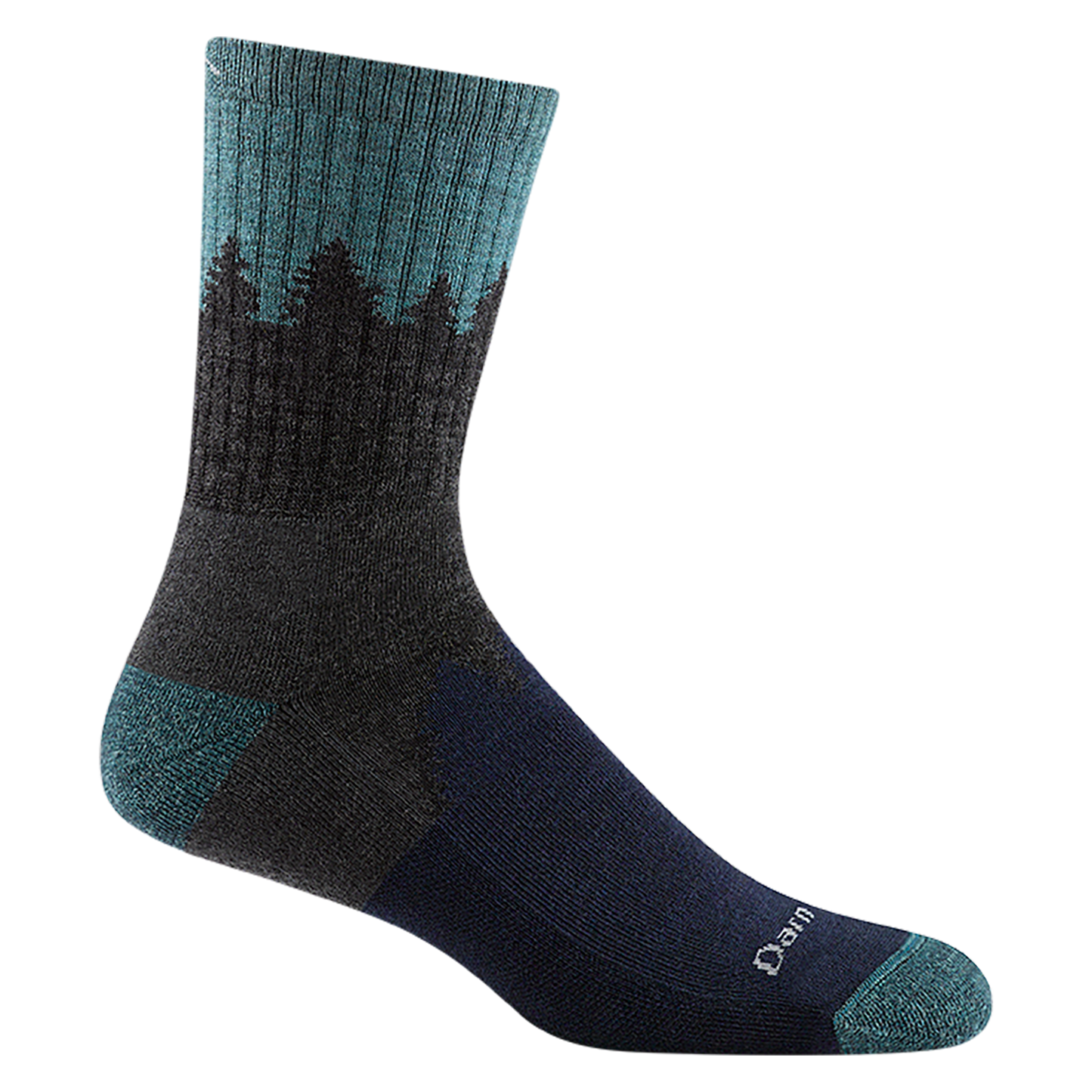 Darn Tough Number 2 Micro Crew Midweight Hiking Sock