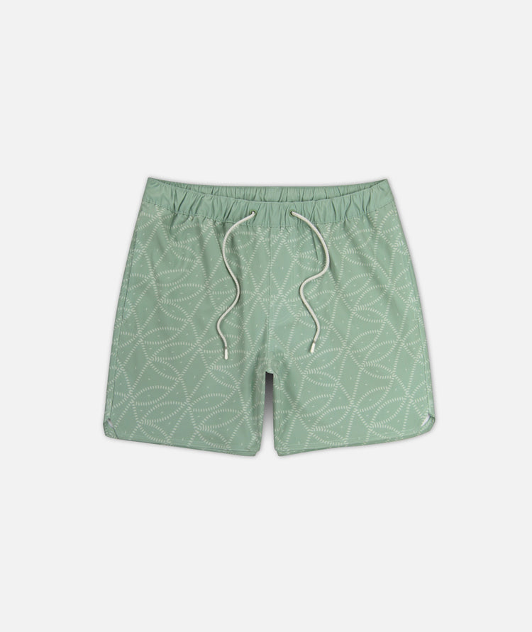 Jetty Bayside Poolshorts