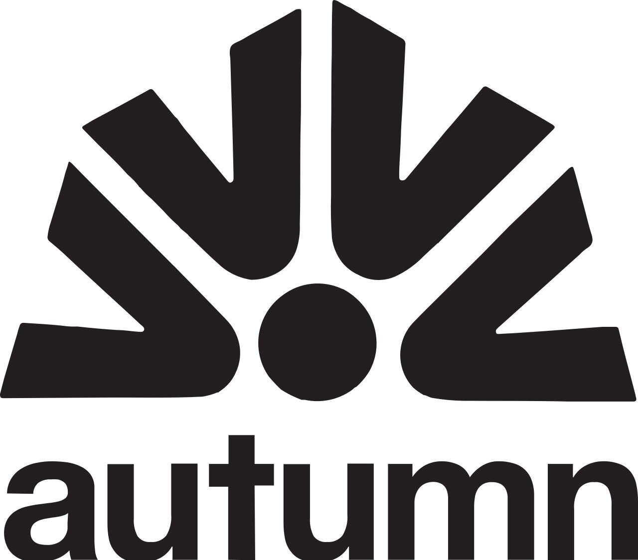 Autumn Surplus Beanie
