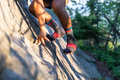 Darn Tough Heady Stripe Micro Crew Sock - 88 Gear