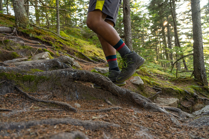 Darn Tough Heady Stripe Micro Crew Sock - 88 Gear