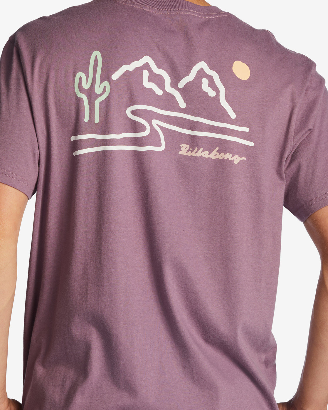 Billabong Panorama T-Shirts - 88 Gear