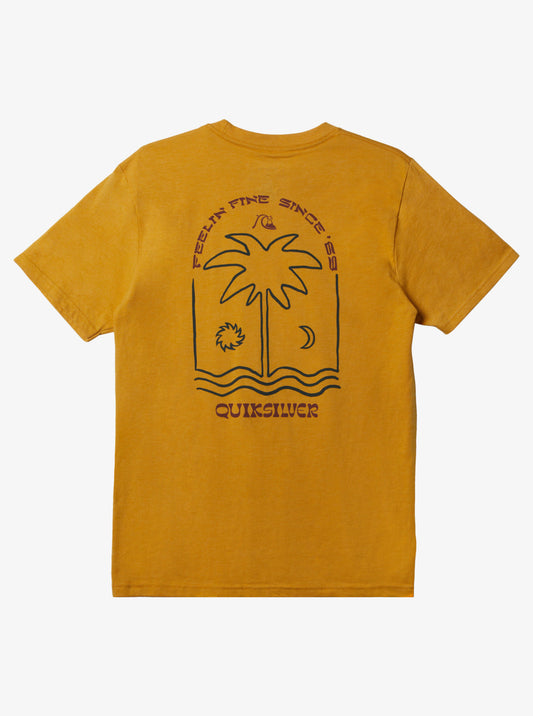 Quiksilver New Take Tee Shirts - 88 Gear