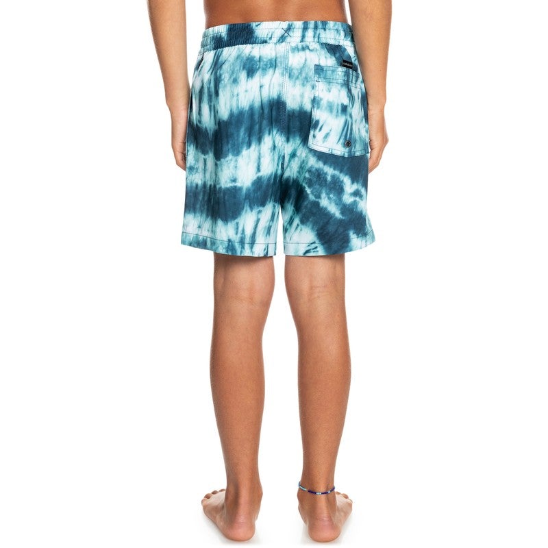 Quiksilver Mystic Sessions Youth Swim Shorts
