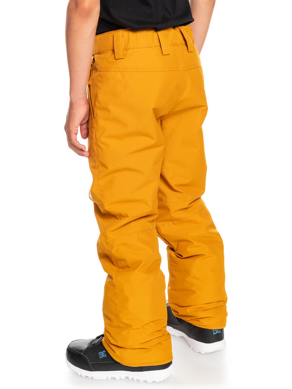 Quiksilver Estate Youth Snow Pants - 88 Gear