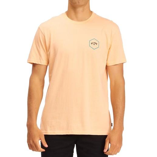 Billabong Access T-Shirt - 88 Gear