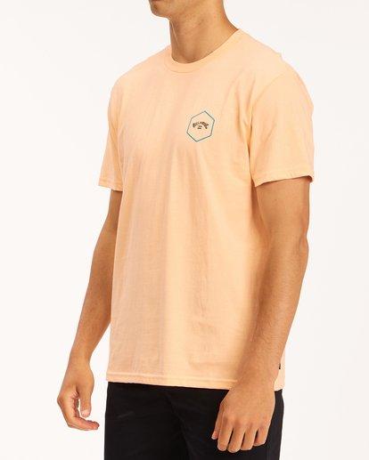 Billabong Access T-Shirt - 88 Gear